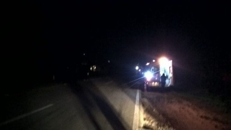 Animal solto na pista causa acidente na BR-122 em Pindaí