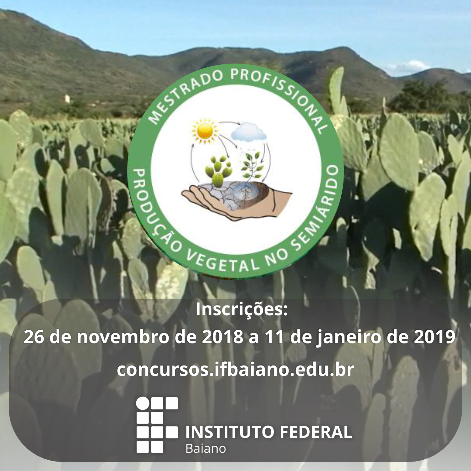 Inscrições para mestrado do IF Baiano – Campus Guanambi terminam nesta sexta (11)
