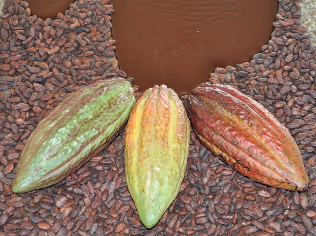 Agricultura familiar da Bahia produz chocolates veganos e sustentáveis para a páscoa