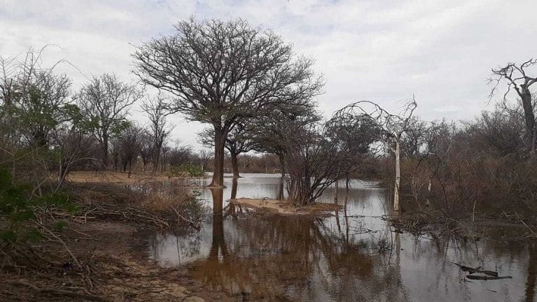 Rio São Francisco tem vazão aumentada e gera expectativa em pescadores