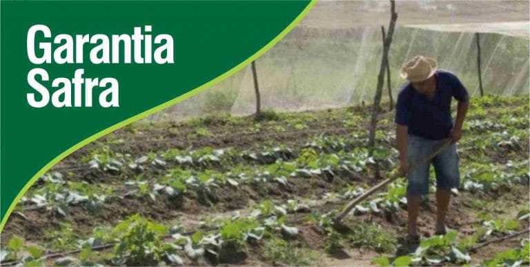 Entrega dos boletos do Garantia-Safra encerram nesta quinta em Caetité