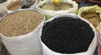 Preço do feijão tem alta de até 150% em Guanambi