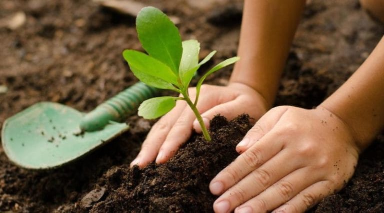 Doutorado Profissional em Agroecologia será ofertado pela Uneb