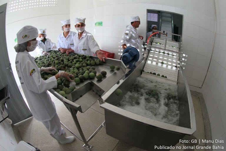 Adab publica regulamentação para agroindústrias de pequeno porte na Bahia