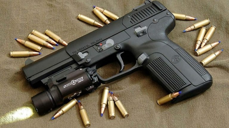 Sistema que facilita posse de armas já está valendo