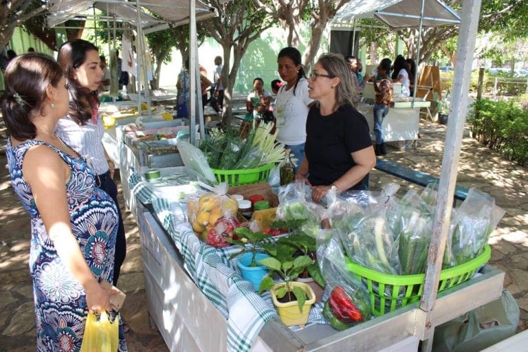 Seminário de Agroecologia começa nesta sexta no IF Baiano em Guanambi
