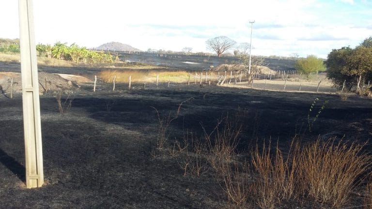 Incêndio atinge área de quase 15 hectares na zona rural de Guanambi