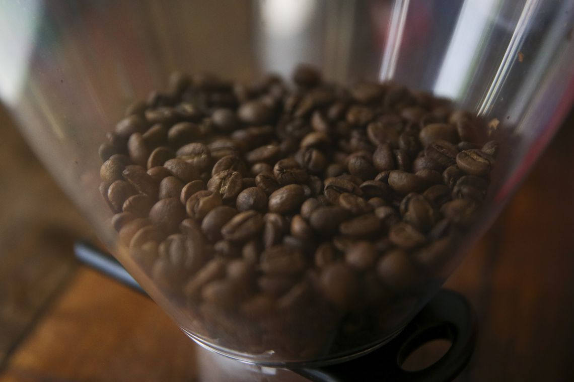 Conab prevê que país colherá 50,92 milhões de sacas de café neste ano