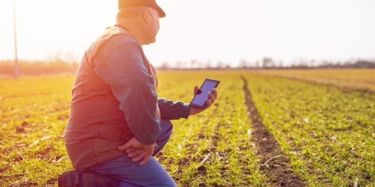 Mestrado e doutorado em Agronomia em agronomia da Uesb recebe inscrições
