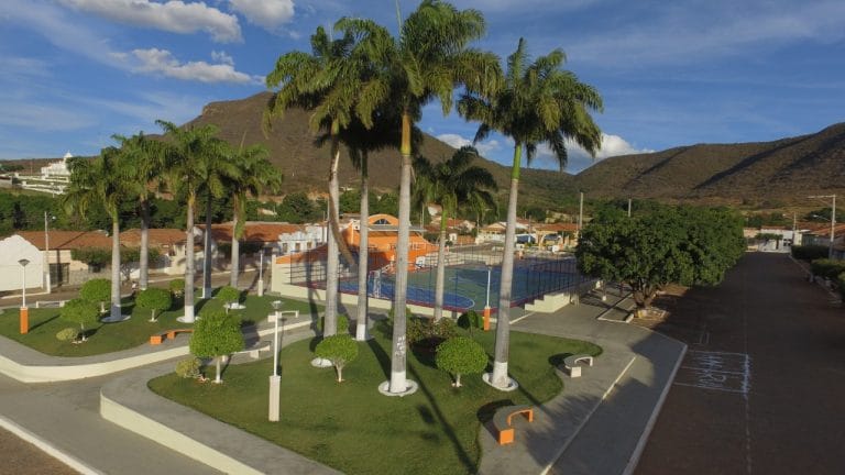 Palmas de Monte Alto