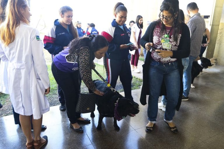 Projeto de humanização leva coral e cães a hospital de Brasília