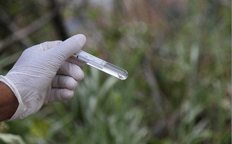 Bahia registra oito casos de dengue por hora; alta de 459% no estado