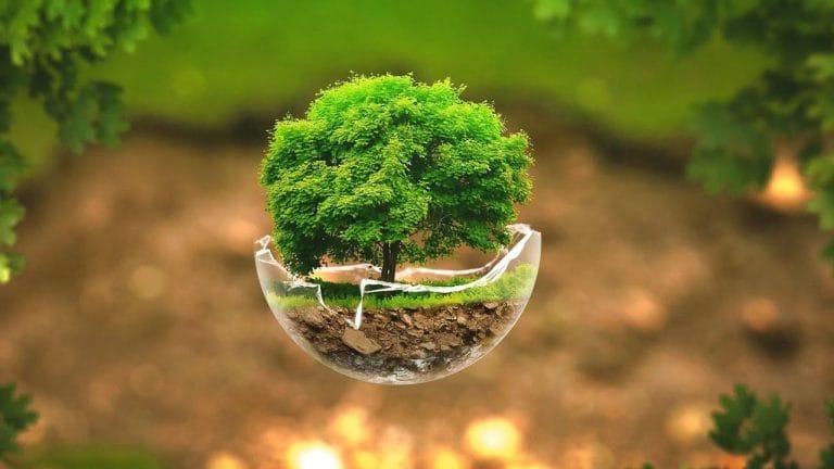 Evento sobre Semana do Meio Ambiente será realizado em Guanambi nesta quarta (5)