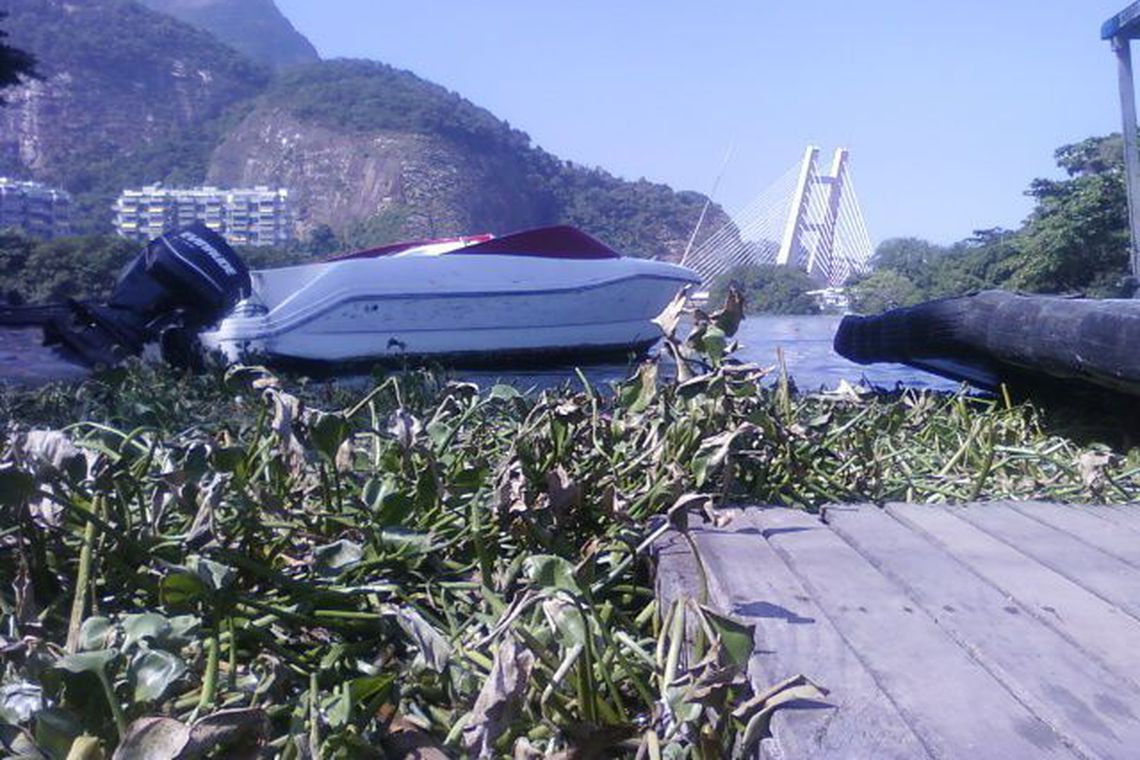 Garis retiram 191 toneladas de gigogas de praias da zona oeste do Rio