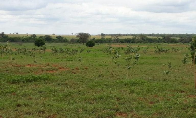 Cancelada audiência para debater projeto de irrigação do Vale do Iuiú, na Bahia