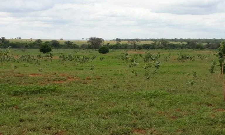 Cancelada audiência para debater projeto de irrigação do Vale do Iuiú, na Bahia