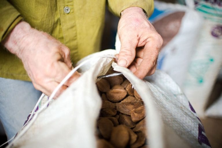 Ministério da Agricultura anuncia medidas de estímulo a cooperativas