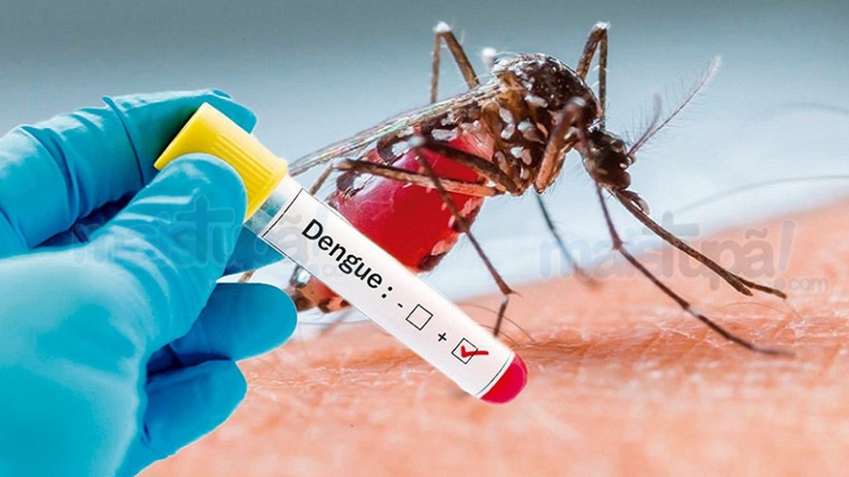 Guanambi registra 184 casos de dengue, zika e chykungunya em 2020