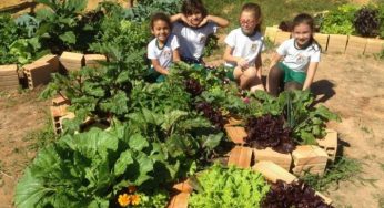 Estado libera R$ 300 mil de investimento para hortas escolares