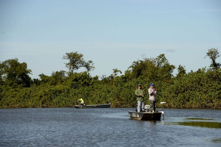 Pescadores ajudam a preservar meio ambiente durante período de defeso