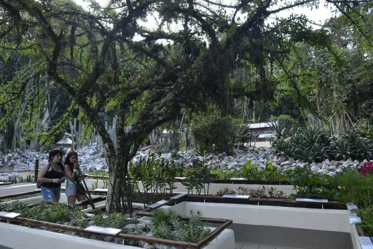 Atlas reúne informações sobre a biodiversidade brasileira