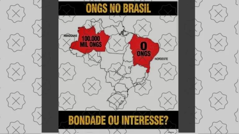 Região Nordeste tem quase três vezes mais ONGs do que a Região Amazônica