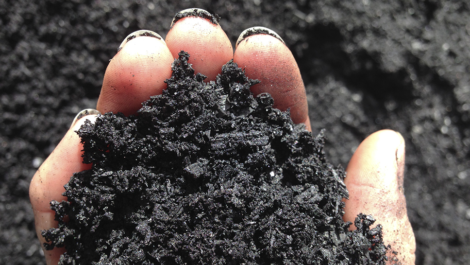 Biocarvão pode ser usado para recuperar solo degradado, indica estudo
