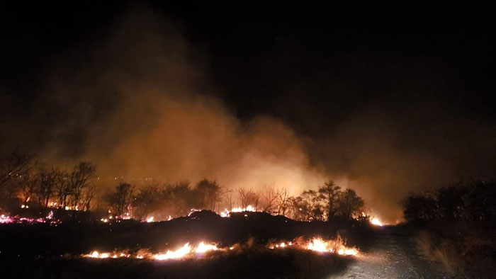 Desmatamento e incêndios florestais também ameaçam a Caatinga na Região de Guanambi