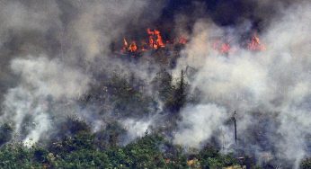 Governo altera decreto sobre suspensão de queimadas restringindo proibição à Amazônia Legal