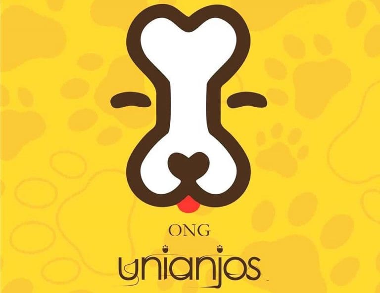Após seis meses, ONG UniAnjos voltou a funcionar em Guanambi