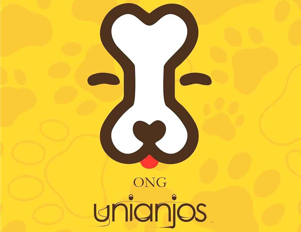 Após seis meses, ONG UniAnjos voltou a funcionar em Guanambi