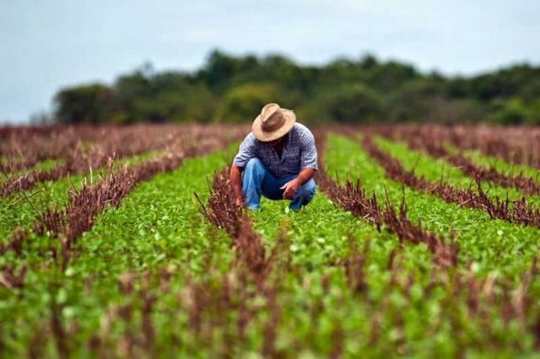 Prazo de entrega da Declaração do ITR acaba nesta segunda