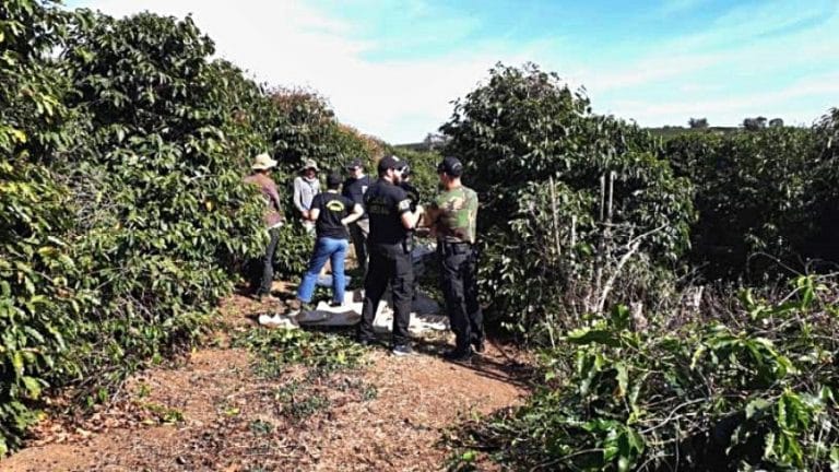 Fiscalização resgata 59 trabalhadores em condições análogas à escravidão em Minas