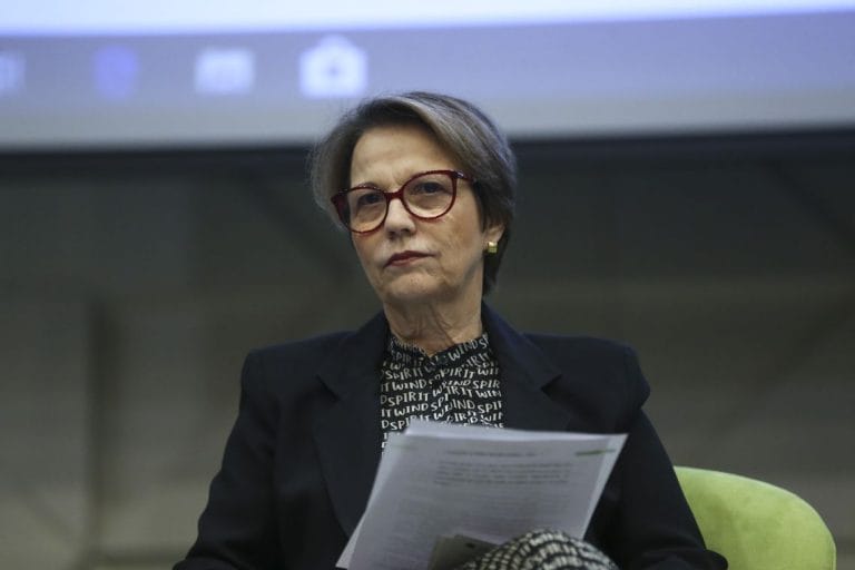 Agronegócio brasileiro é o mais sustentável do mundo, diz ministra