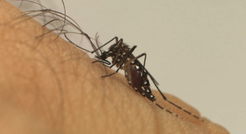 Guanambi registra mais de 200 casos de dengue, chykungunya e zika