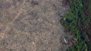 O que faz um processo de desmatamento da Amazônia demorar 28 anos para ter uma sentença