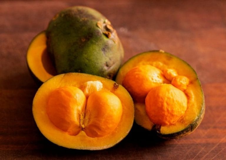 Caetité lidera extração de pequi na Bahia