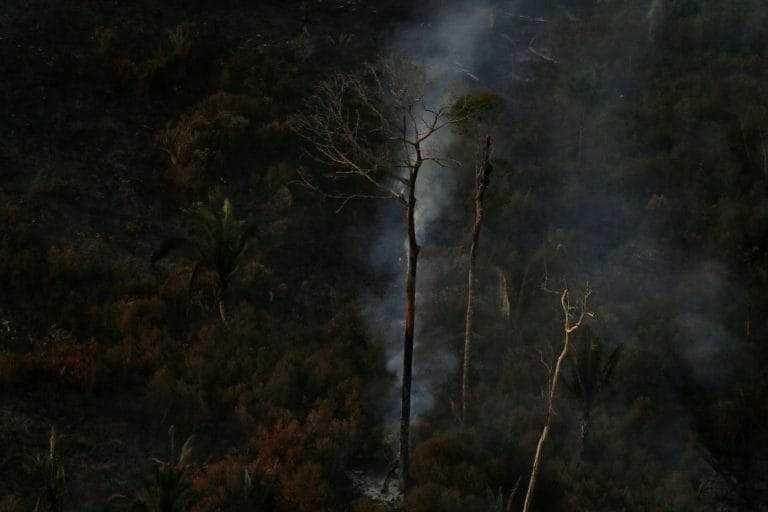 Procuradoria e AGU anunciam acordo de R$ 1 bi para Amazônia