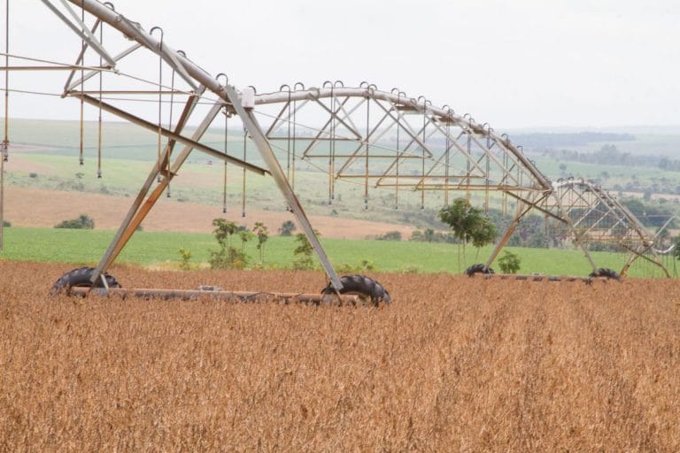 Fundo deve fazer aporte de R$ 5 bilhões no agronegócio