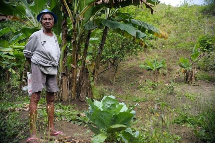 Campo está mais feminino e mais velho, afirma IBGE