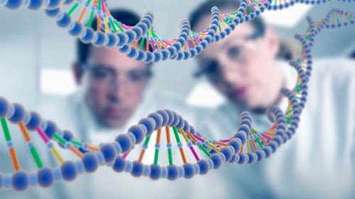 Inscrições para Mestrado em Genética da Uesb são prorrogadas