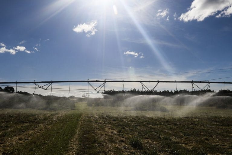 PIB do agronegócio cresce mais que conjunto da economia em 2019 e 2020