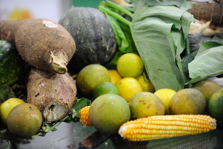 II Fórum de Segurança Alimentar e Nutricional de Guanambi será na próxima quinta-feira