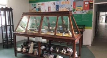 Ufba inaugura Museu de Geociências nesta sexta-feira em Salvador