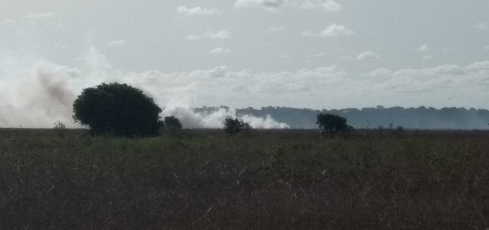 Canavieiras: Incêndio atinge a segunda maior reserva extrativista da Bahia