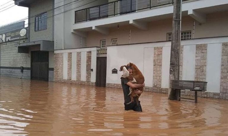 Enchentes voltam a assolar cidades mineiras