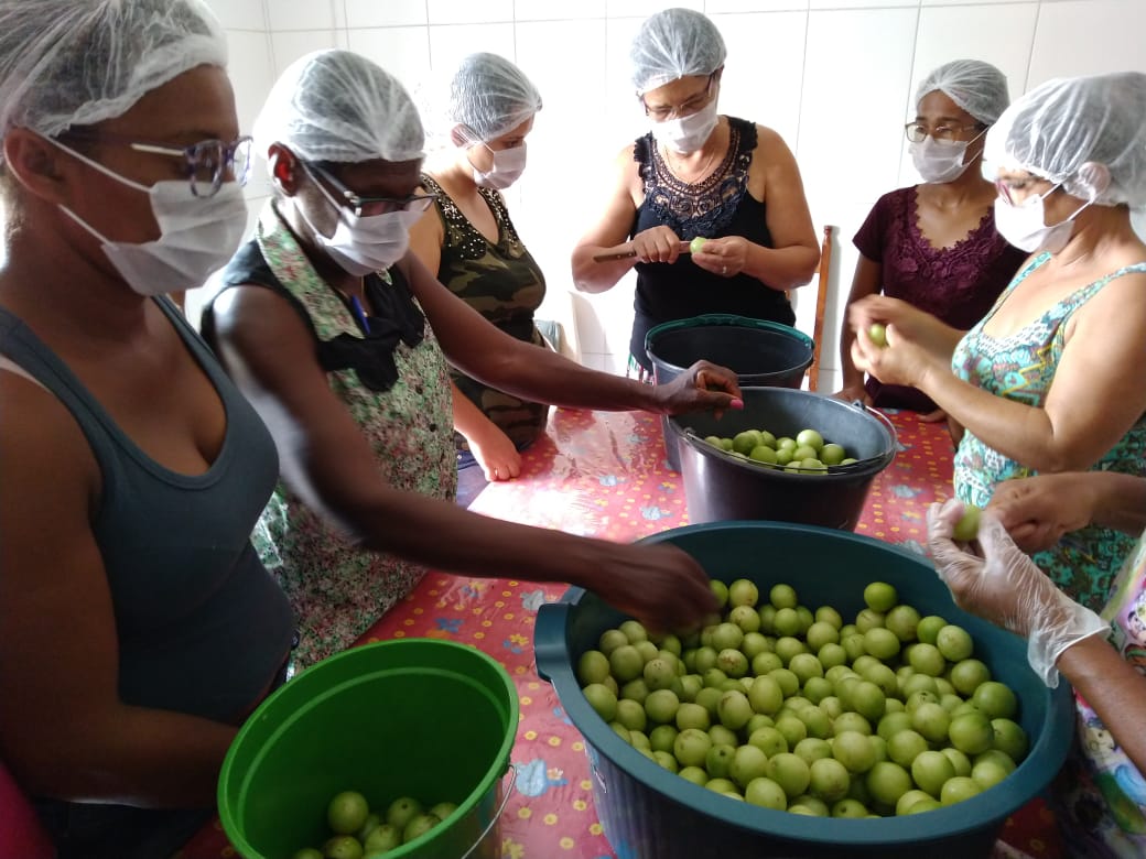 Agricultoras do Sertão Produtivo recebem treinamento sobre processamento de frutas nativas