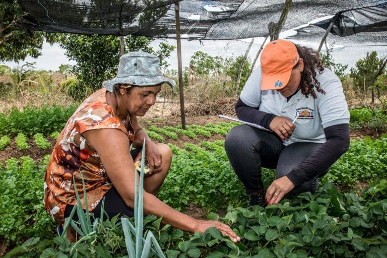 Bahia dá início à primeira chamada pública de Assistência Técnica para mulheres rurais