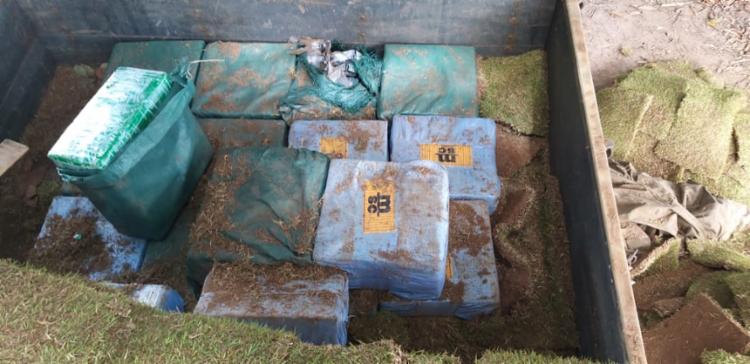 Cão farejador encontra carga de meia tonelada de cocaína no interior da Bahia