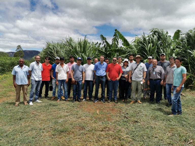 IF Baiano difunde estratégias de cultivo para bananicultores em Ceraíma